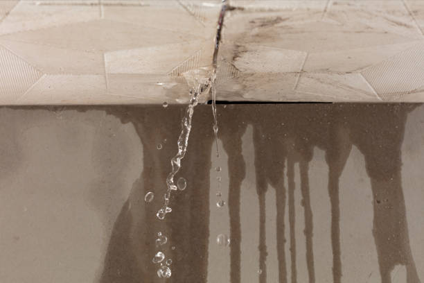 Professional Sewage Cleanup technician working in Lacona, IA